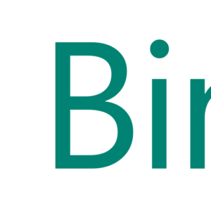 Nuevo Bing de Microsoft